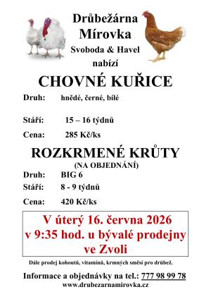 kuřice